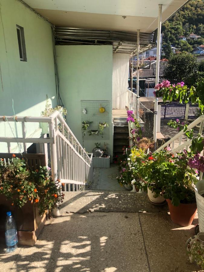 Зеленый Дворик Gagra Exterior foto